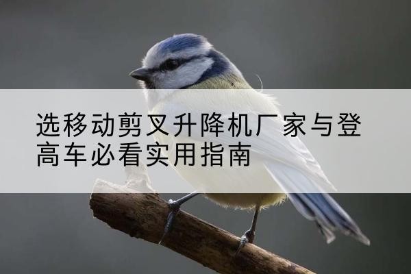 鹤城电动升降机厂家-选移动剪叉升降机厂家与登高车必看实用指南
