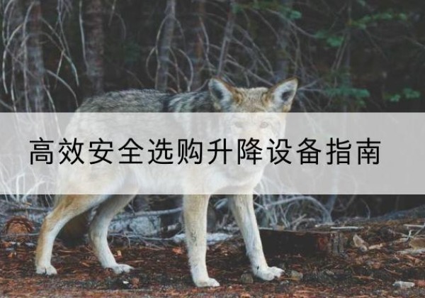 鹤城升降货梯厂家推荐-*安全选购升降设备指南