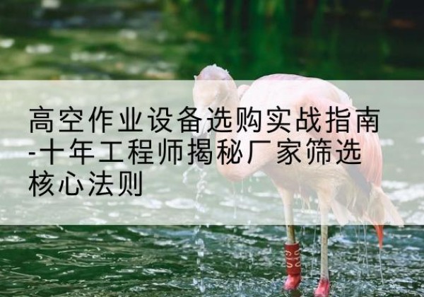 鹤城剪叉式升降机厂家-高空作业设备选购实战指南-十年工程师揭秘厂家筛选核心法则